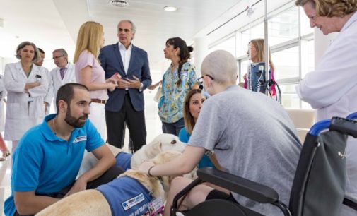 Ruiz Escudero asiste en el Marañón a una sesión del programa de acompañamiento con perros para niños hospitalizados