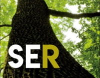 Libros: «Ser» de Elena Andrés Suárez, publicado por Editorial San Pablo