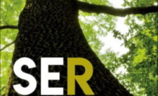 Libros: «Ser» de Elena Andrés Suárez, publicado por Editorial San Pablo