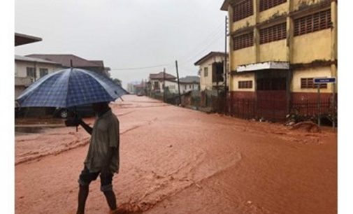 El Papa reza por los fallecidos en Sierra Leona
