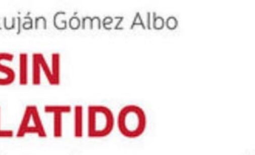 Libros: “Sin latido”, entender y acompañar el duelo gestacional, de Luján Gómez Albo, publicado por Editorial San Pablo