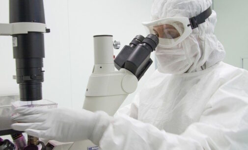 Un proyecto que da esperanza a los jóvenes enfermos de leucemia mieloide aguda