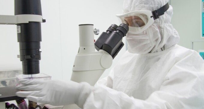 Un proyecto que da esperanza a los jóvenes enfermos de leucemia mieloide aguda