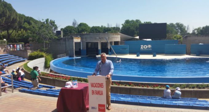94 menores tutelados por la Comunidad de Madrid pasarán el verano con 81 familias de acogida