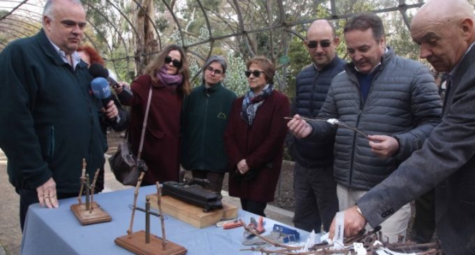 La Comunidad dona 234 variedades de vides a la colección del Real Jardín Botánico