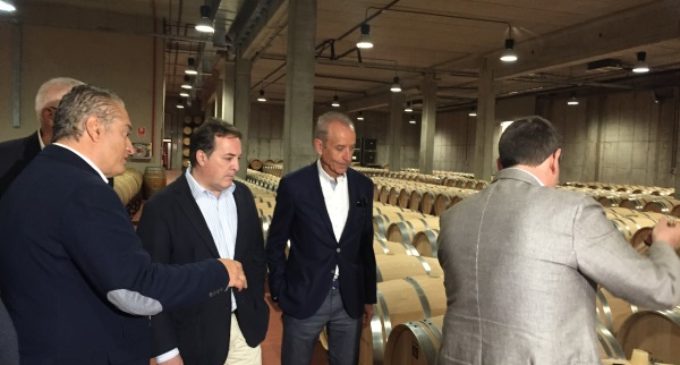 La Denominación de Origen Vinos de Madrid incrementa su producción en cerca de 80.000 botellas
