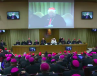 Documento final: Participación más activa de los jóvenes y las mujeres en la Iglesia