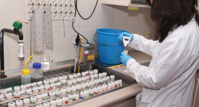 La Comunidad de Madrid contribuye a mejorar la calidad de la leche que se produce en la región