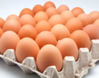 Sanidad insiste en extremar las precauciones con alimentos a base de huevo para evitar salmonelosis