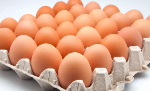 Sanidad insiste en extremar las precauciones con alimentos a base de huevo para evitar salmonelosis