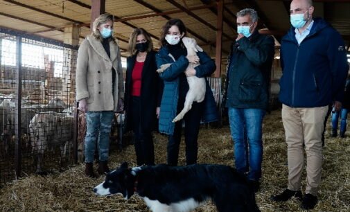 Díaz Ayuso exige al Gobierno central soluciones a ganaderos y agricultores ante su situación “critica” y reafirma su ayuda al sector