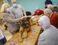 Más de 40 residencias de mayores de la Comunidad de Madrid ofrecen terapias asistidas con animales