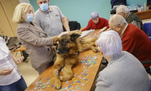 Más de 40 residencias de mayores de la Comunidad de Madrid ofrecen terapias asistidas con animales