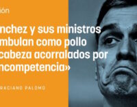OPINIÓN. 500.000 desempleados más (pretendían camuflarlos)