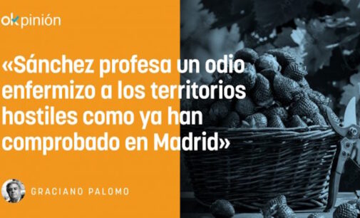 OPINIÓN. Una de fresas onubenses, escándalo transnacional