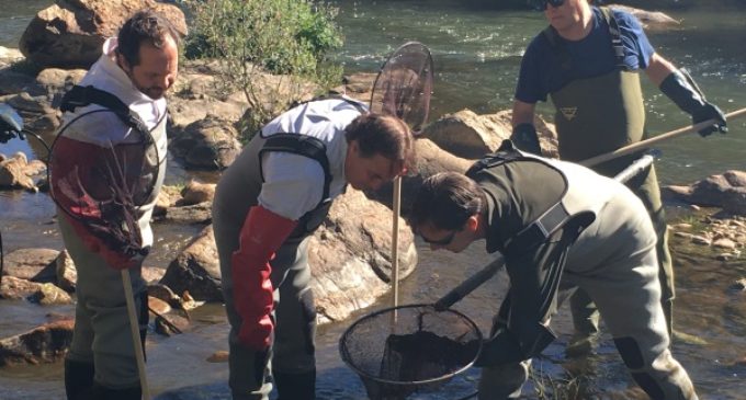 La Comunidad de Madrid garantiza la conservación de la riqueza faunística de ríos y embalses