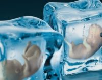 Social Freezing: Dificultades médicas y éticas