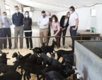 Díaz Ayuso acompaña a los Reyes a la Sociedad Agraria de Transformación Vega de San Martín