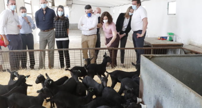 Díaz Ayuso acompaña a los Reyes a la Sociedad Agraria de Transformación Vega de San Martín