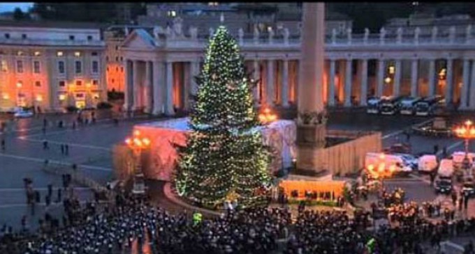 El Nacimiento y el árbol de Navidad son signos de luz y de esperanza